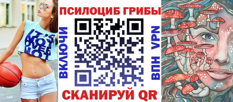 Псилоцибиновые грибы мицелий  Поворино 